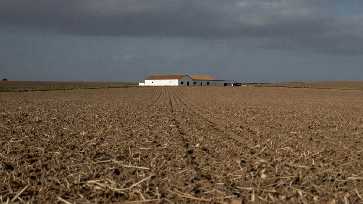 Illustrative image: an agricultural landscape with a small agricultural building in the background, representing agricultural production in a Spanish context.
