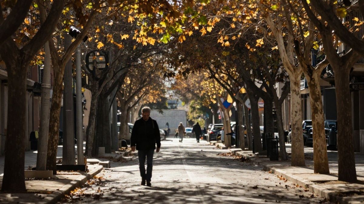 Illustrative image: scene of an autumn alley with fallen leaves, evoking the change of season.