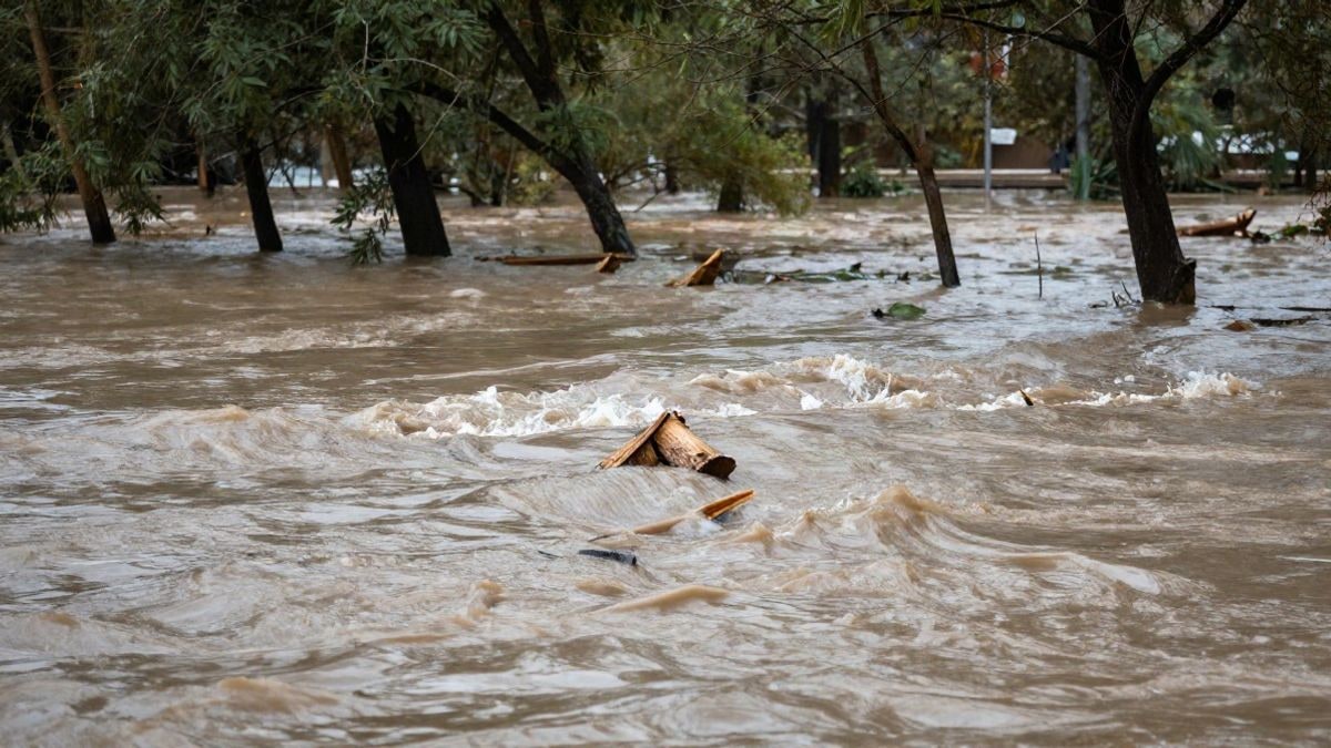 Illustrative image: a river overflowing during a flood, with trees and debris in the water, dramatic natural light